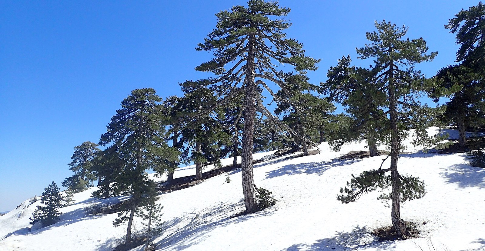 Troodos Mountains. Photo: Krzysztof Ziarnek, Kenraiz